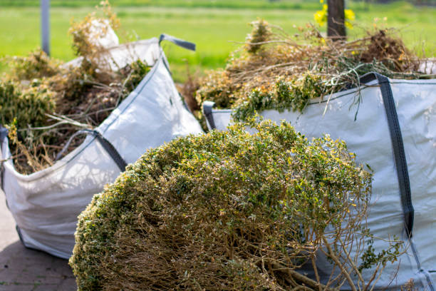 Best Junk Hauling Services  in Pearisburg, VA